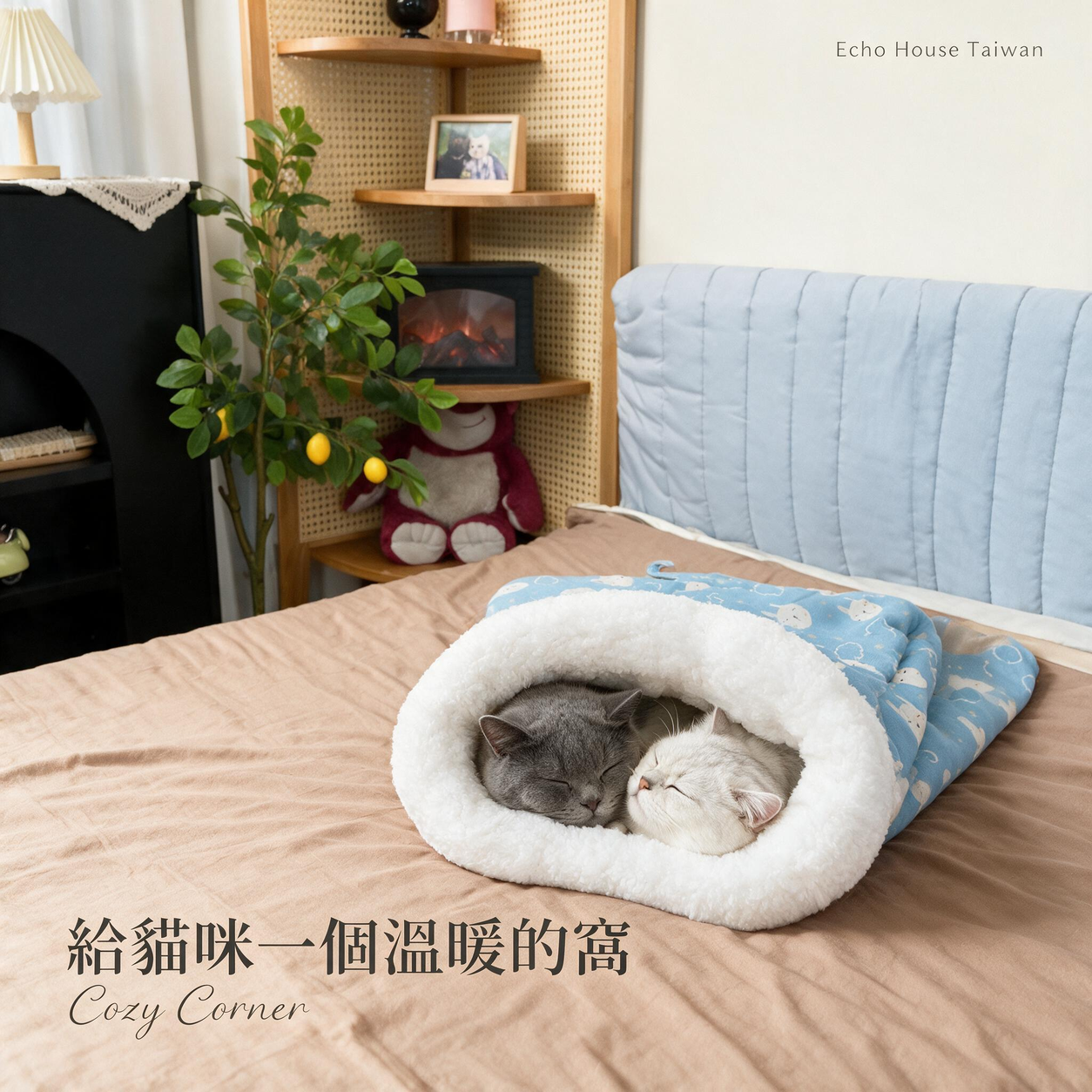 半封閉保暖貓窩：使用情境
